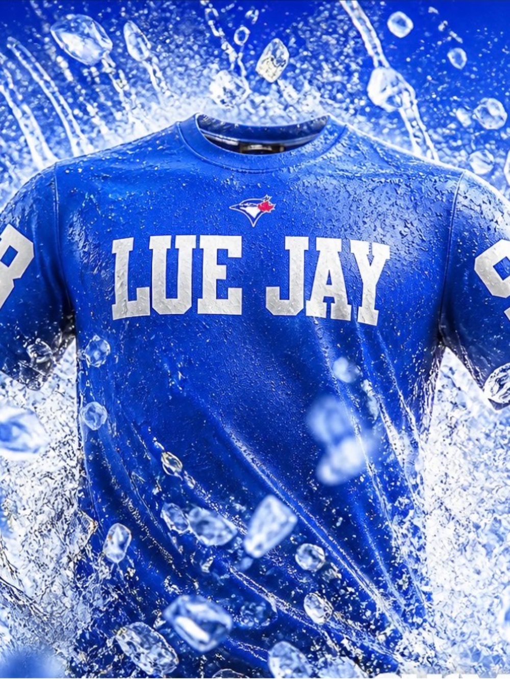Toronto BLUE JAYS Men's Crewneck Shirt. Print on the sleeves and back as well.